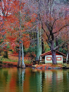 IMAGE(http://askdin.com/sites/default/files/gallery/images/23376/1_yaspicirtabiat14-1.gif)