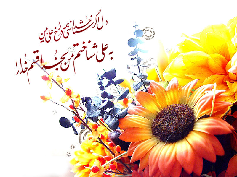IMAGE(http://askdin.com/sites/default/files/gallery/images/27312/8___________.jpg)