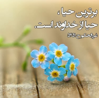 IMAGE(http://askdin.com/sites/default/files/gallery/images/27370/1_0608.jpg)