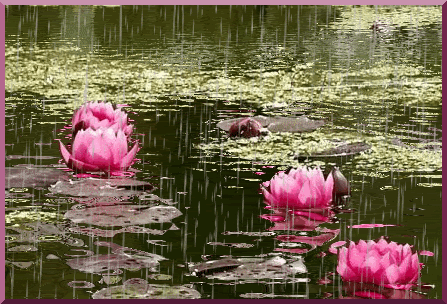 IMAGE(http://askdin.com/sites/default/files/gallery/images/27370/1_11.gif)