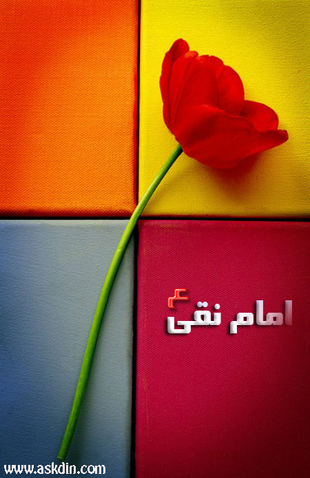 IMAGE(http://askdin.com/sites/default/files/gallery/images/27370/1_98.png)