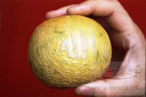 IMAGE(http://askdin.com/sites/default/files/gallery/images/27370/1_Ajayeb_202_20_3_.jpg)