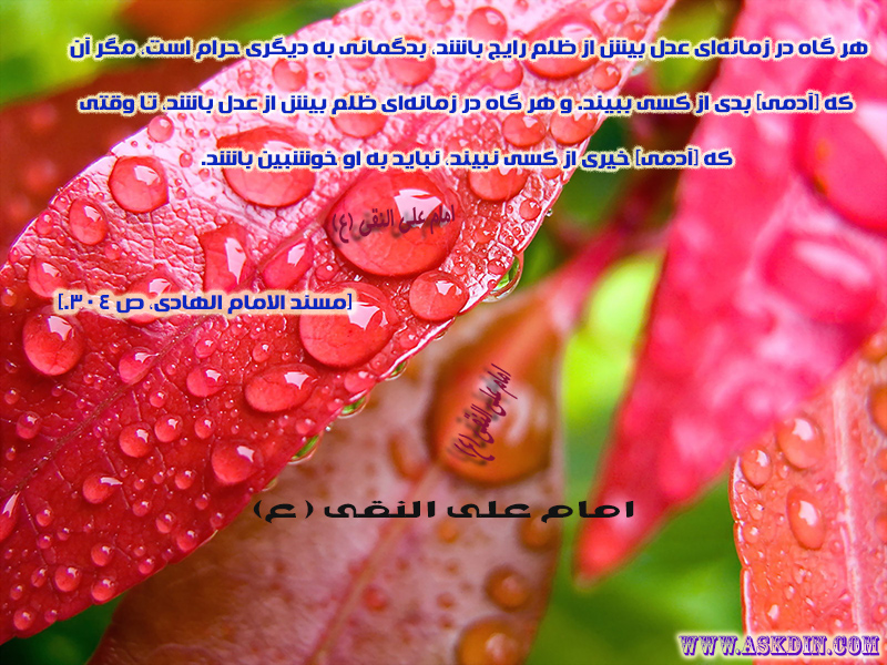IMAGE(http://askdin.com/sites/default/files/gallery/images/27370/1_imam_naghi10.jpg)