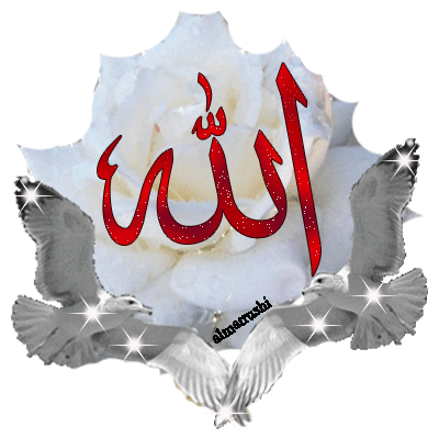 IMAGE(http://askdin.com/sites/default/files/gallery/images/27370/1_ok-iraq_1368056464_977.gif)