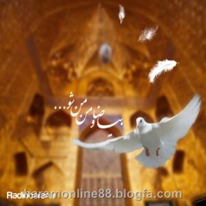 IMAGE(http://askdin.com/sites/default/files/gallery/images/30757/medium/1_Mohsen-Chavoshi-Emam-Reza.jpg)