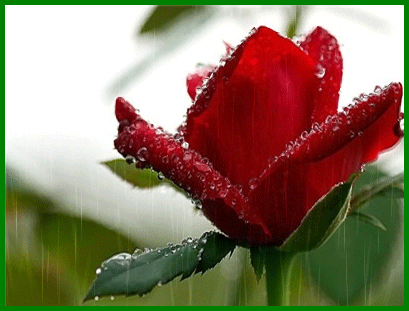 IMAGE(http://askdin.com/sites/default/files/gallery/images/31824/1_n0inktwbxl8x2l99j9ft.gif)