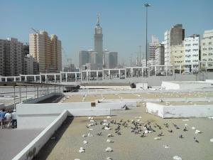IMAGE(http://askdin.com/sites/default/files/gallery/images/35/medium/1_khadijeh__6_.jpg)