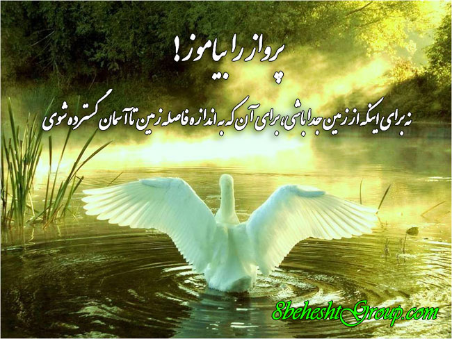 IMAGE(http://askdin.com/sites/default/files/gallery/images/35557/1_415964_C5lf6mPL.jpg)