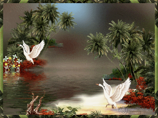 IMAGE(http://askdin.com/sites/default/files/gallery/images/36772/1_aksgif.ir-Animalibrd.______________..______________.__________________________.gif)