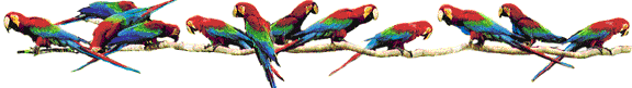 IMAGE(http://askdin.com/sites/default/files/gallery/images/36772/1_aksgif.ir-Animalibrd.______________.papegaai-011.gif)
