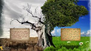 IMAGE(http://askdin.com/sites/default/files/gallery/images/3889/medium/1_gam-sheytan-hd-wallpaper-3.jpg)