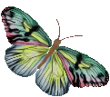 IMAGE(http://askdin.com/sites/default/files/gallery/images/514/1_50359518d10da609bb6669becf2e4a89.gif)