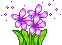 IMAGE(http://askdin.com/sites/default/files/gallery/images/8087/1_freizeit_0318.gif)