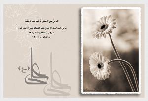IMAGE(http://askdin.com/sites/default/files/gallery/images/8087/medium/1_hadith-imam-ali-05.jpg)