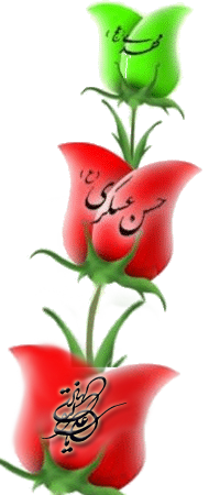 IMAGE(http://askdin.com/sites/default/files/gallery/images/9561/1_naghi.png)