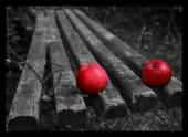 تصویر سیب سرخ